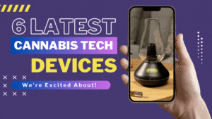 Beuhi's 2024 campaign announced in conjunction with featured article in Cannabis Tech.