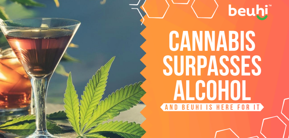 Cannabis Surpasses Alcohol a New Study Finds
