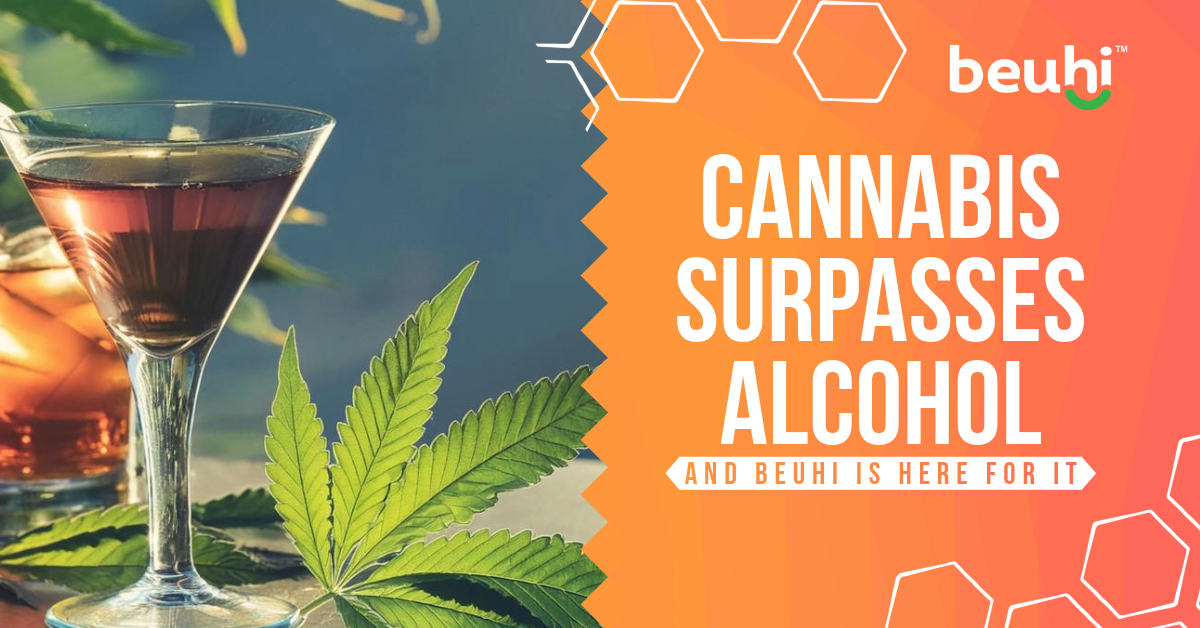 Cannabis Surpasses Alcohol a New Study Finds