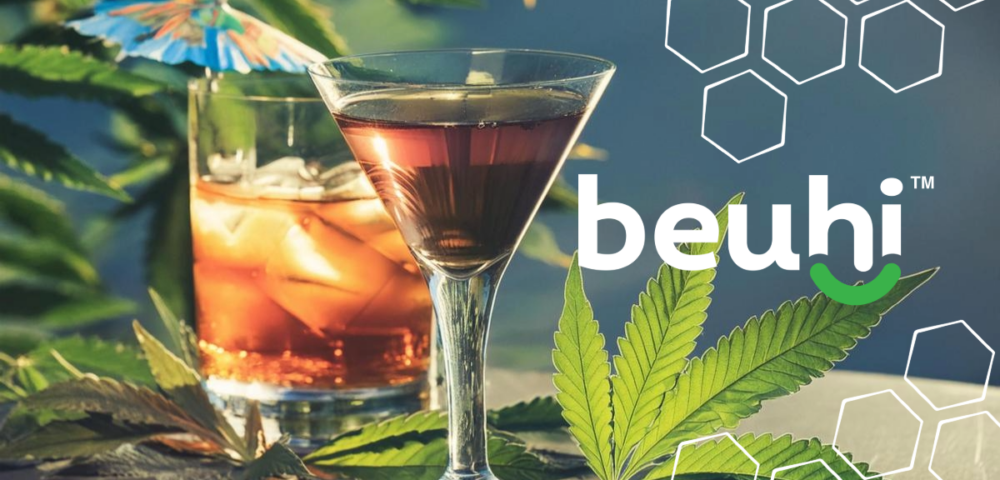 Cannabis Surpasses Alcohol a New Study Finds